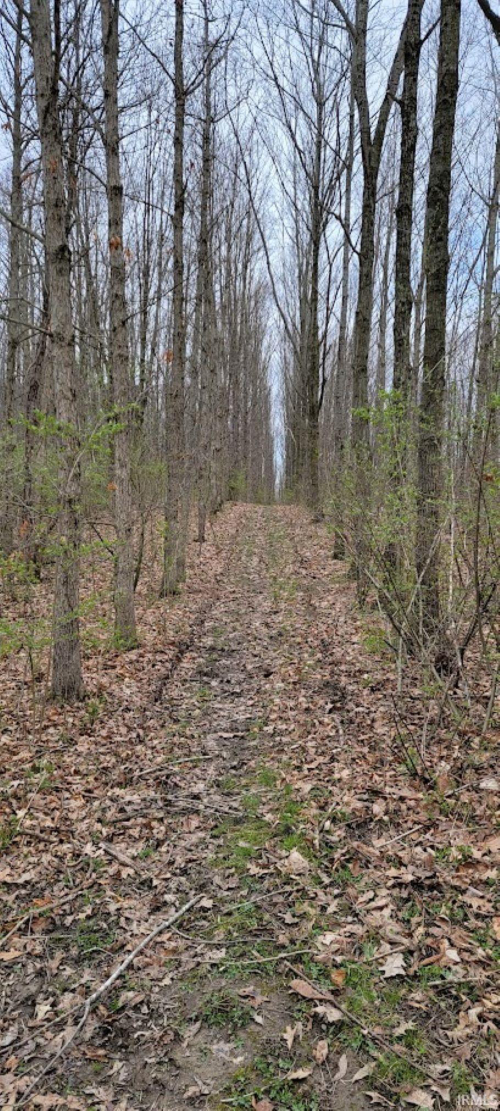 Listing Image 6
