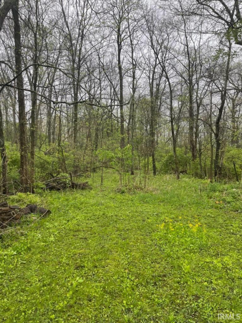 Listing Image 25
