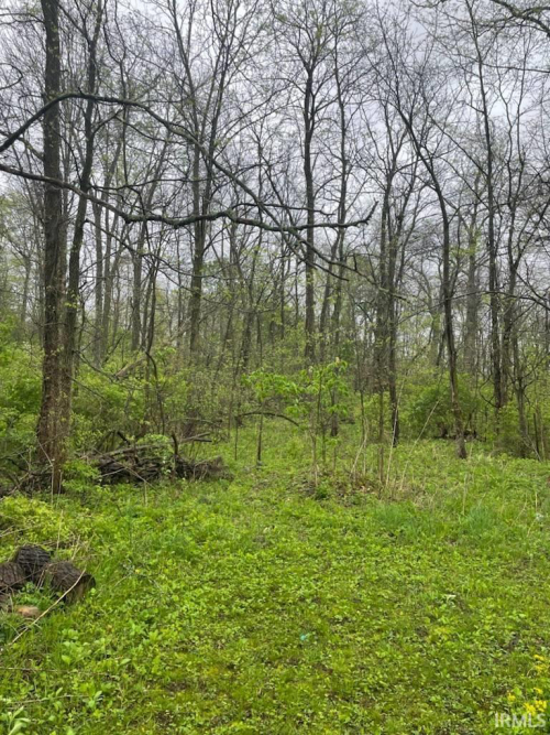 Listing Image 26