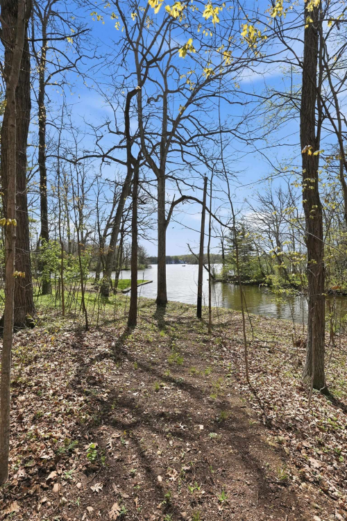 Listing Image 29