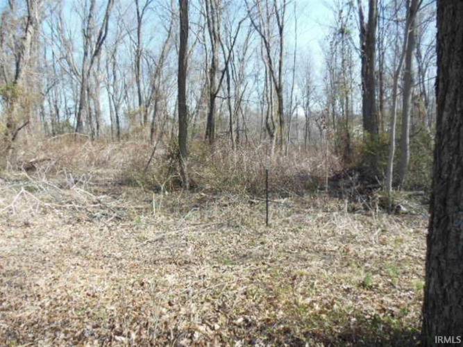 Listing Image 14