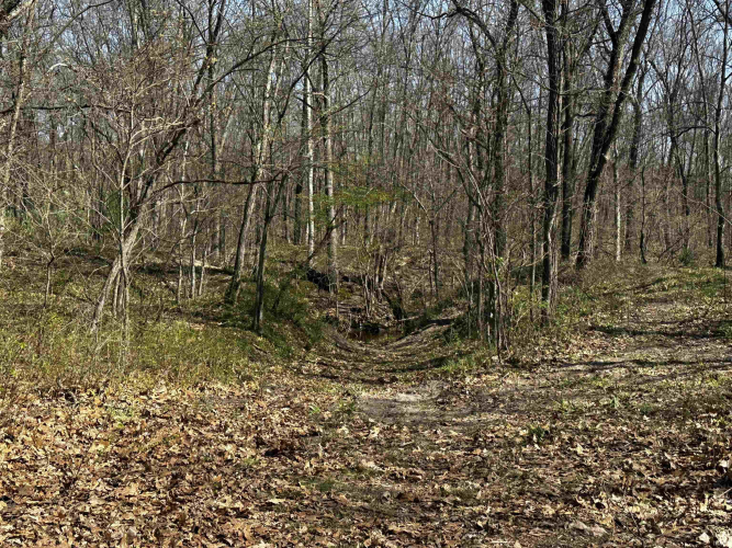 Listing Image 29