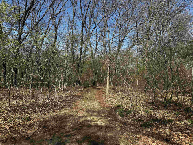 Listing Image 32