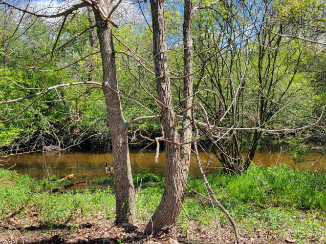 Listing Image 32
