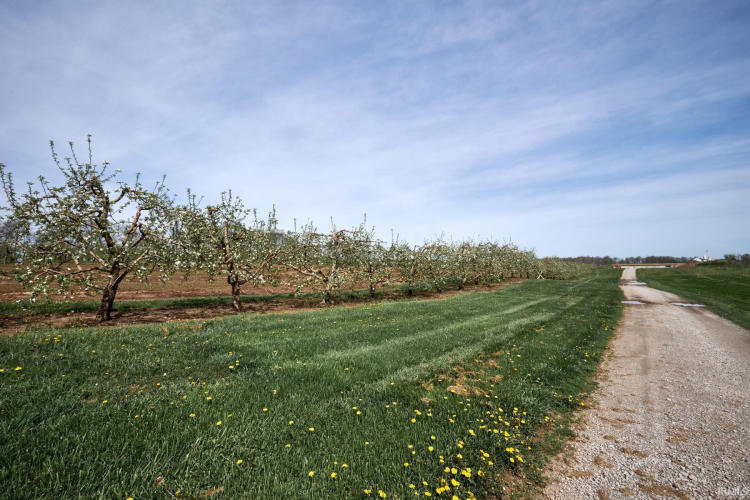 Listing Image 24