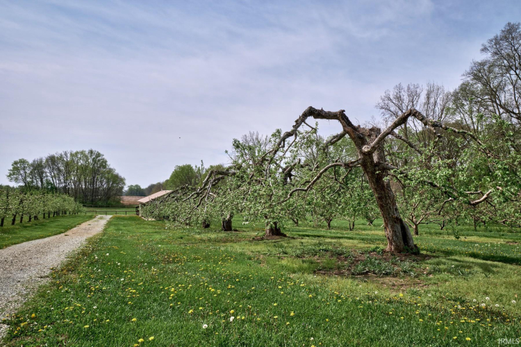 Listing Image 25