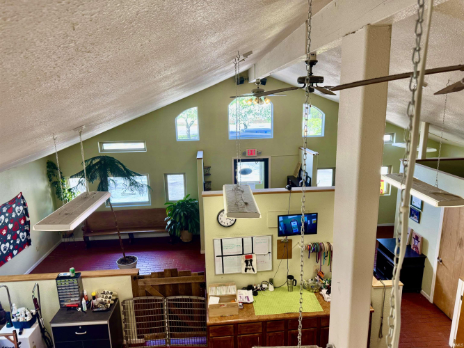Listing Image 21
