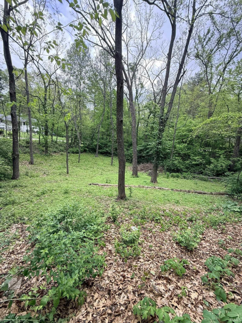 Listing Image 25
