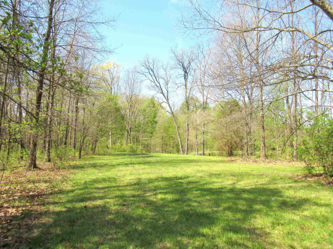 Listing Image 35