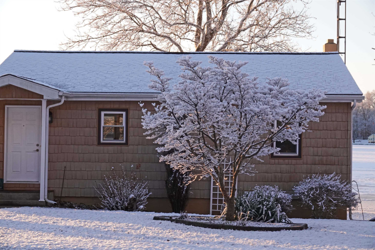 Listing Image 32
