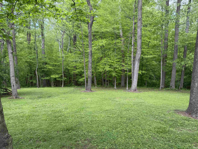 Listing Image 28