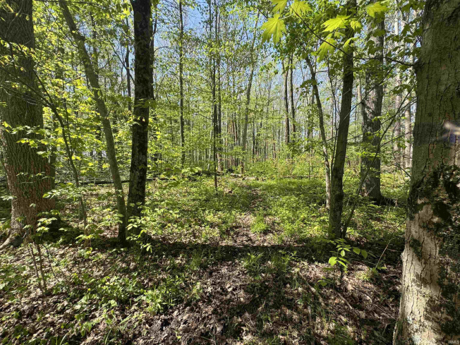 Listing Image 17