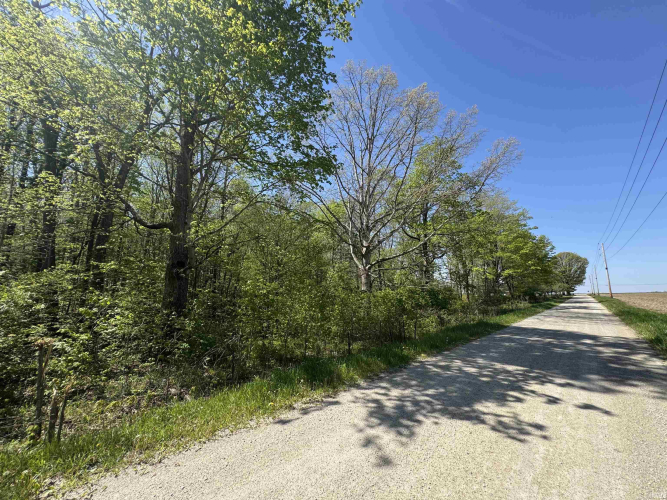 Listing Image 24