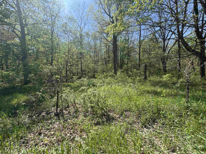 Listing Image 27