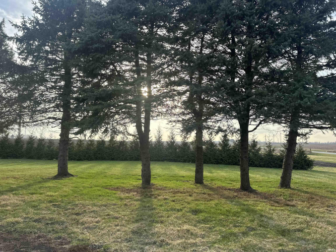 Listing Image 13