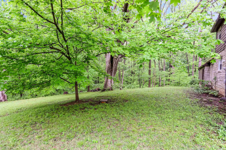 Listing Image 31