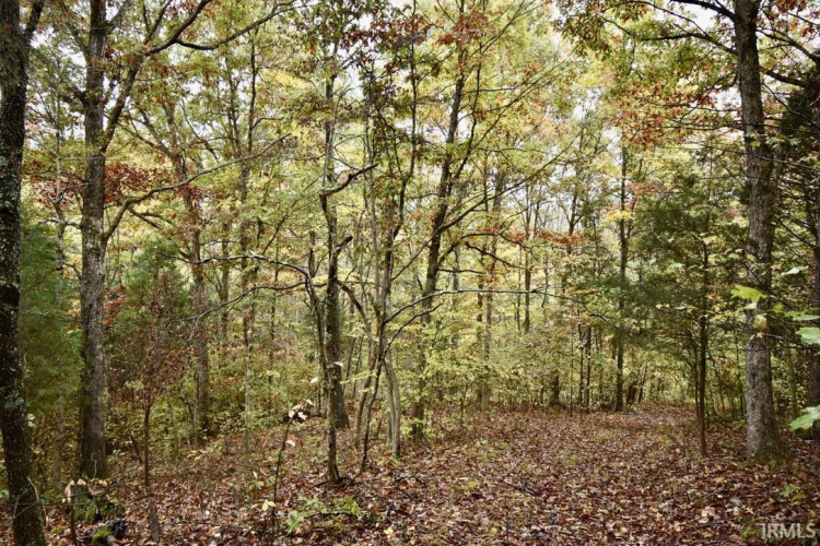 Listing Image 8