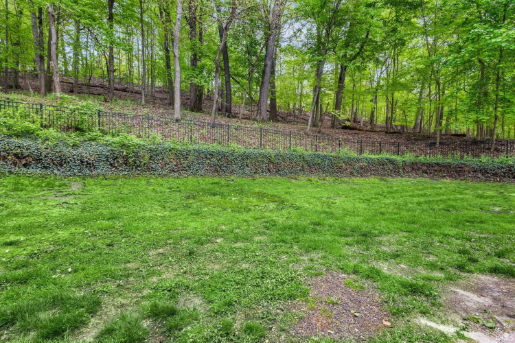 Listing Image 29