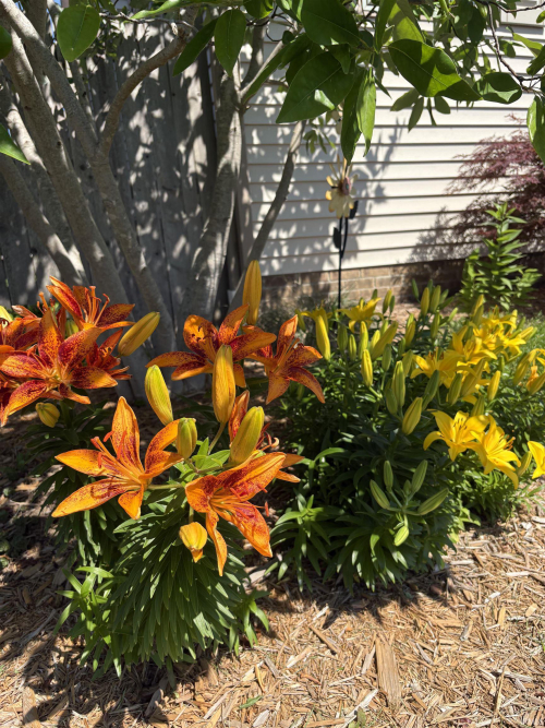 Listing Image 33