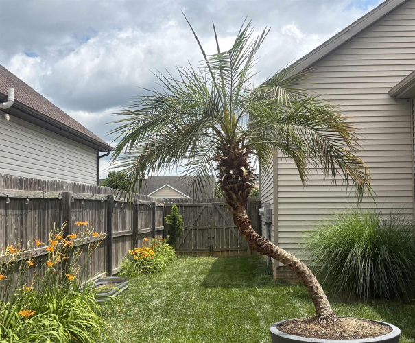 Listing Image 34