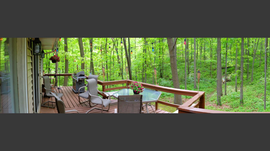 Listing Image 16