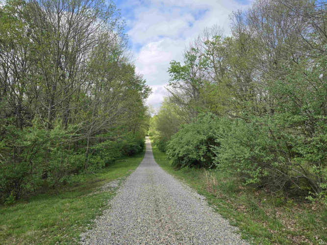Listing Image 33