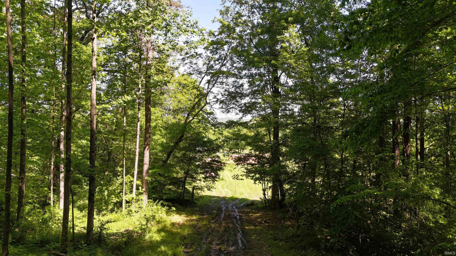 Listing Image 17