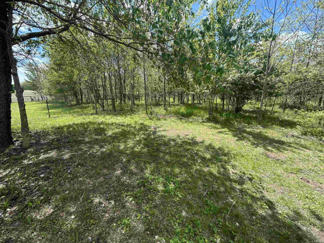 Listing Image 17