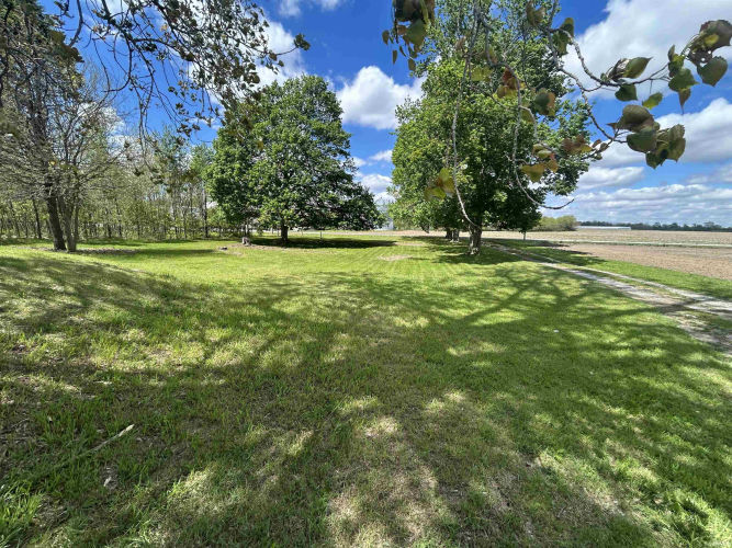 Listing Image 4