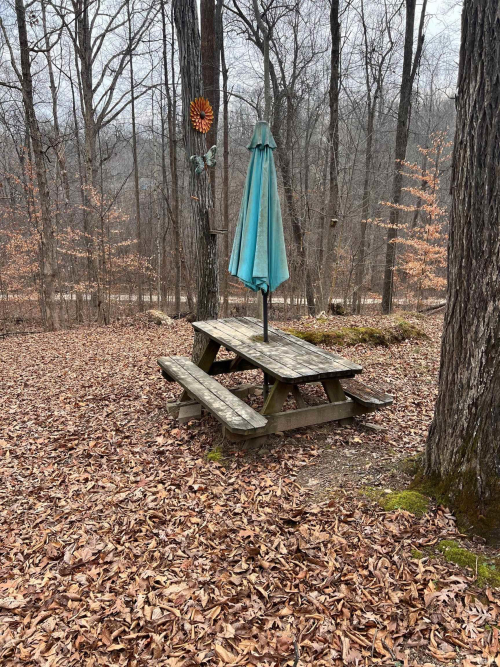 Listing Image 10