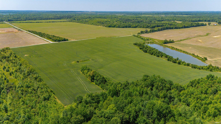 Listing Image 18