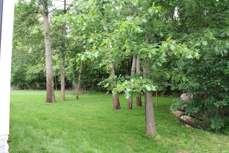 Listing Image 35