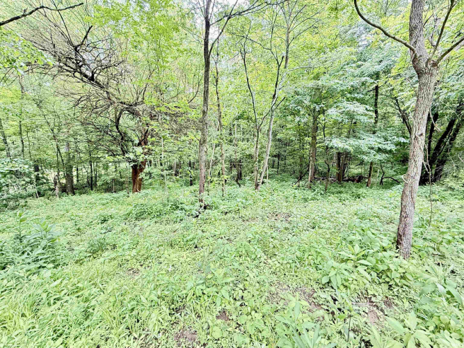 Listing Image 29