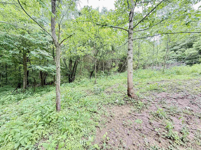 Listing Image 30