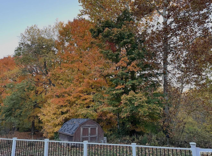 Listing Image 24