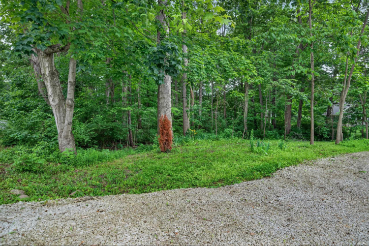 Listing Image 27