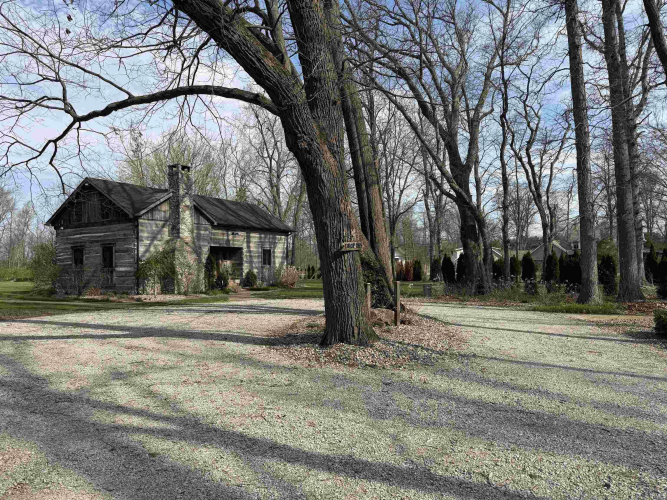 Listing Image 11