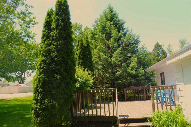 Listing Image 5