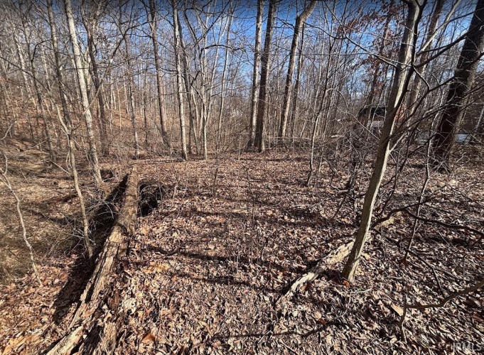 Listing Image 6