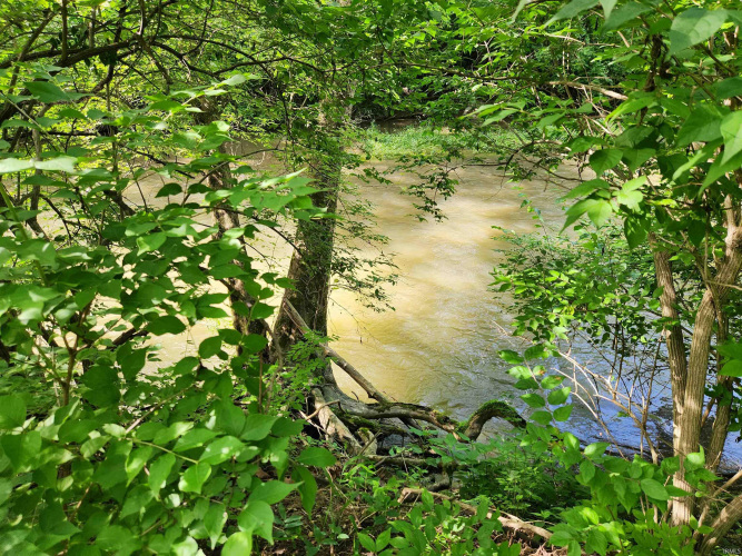 Listing Image 37