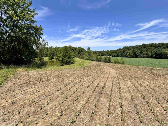 Listing Image 23