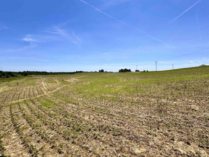 Listing Image 24