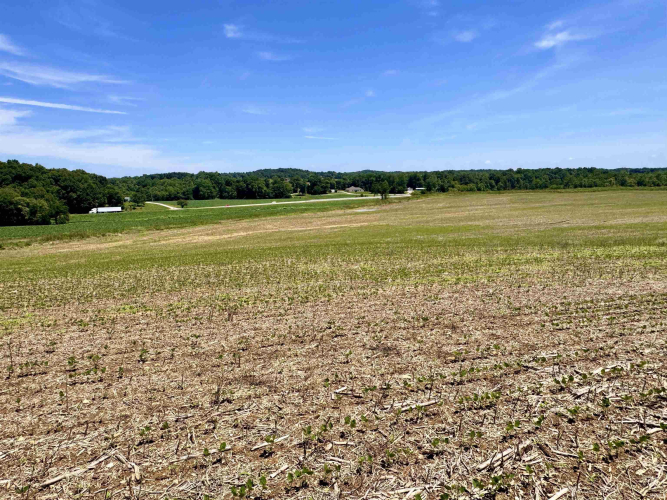 Listing Image 27