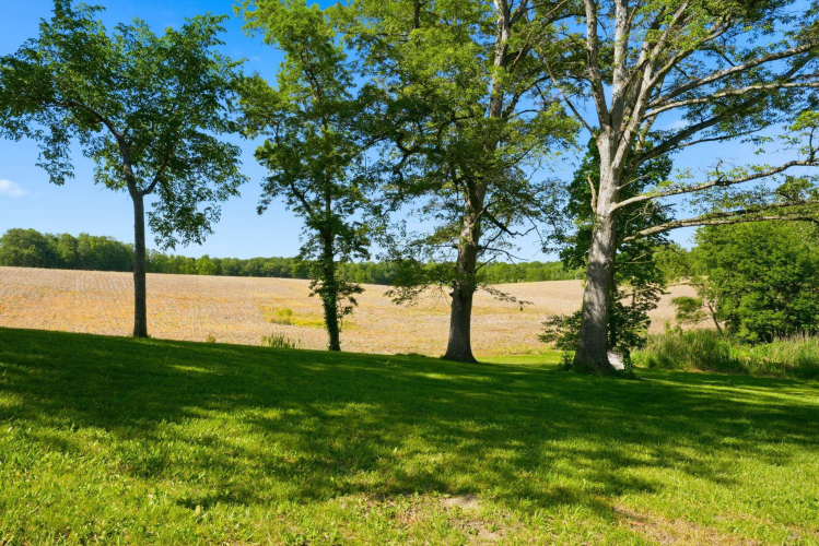 Listing Image 33