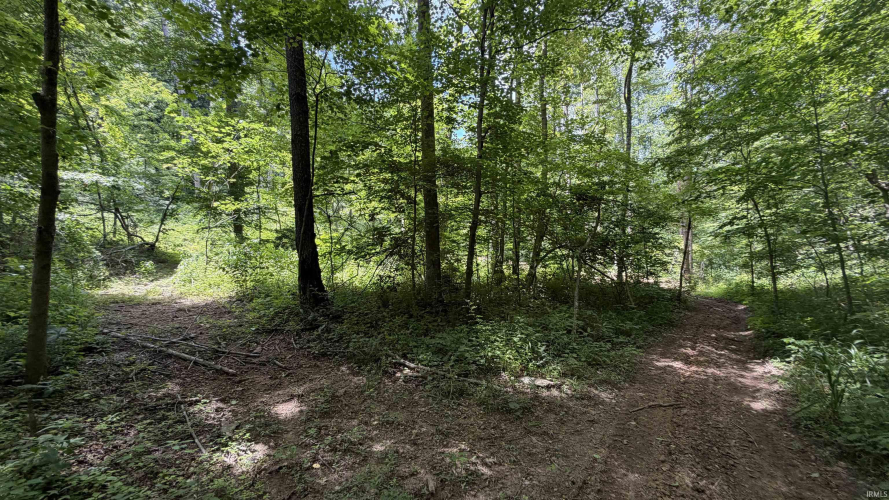 Listing Image 18