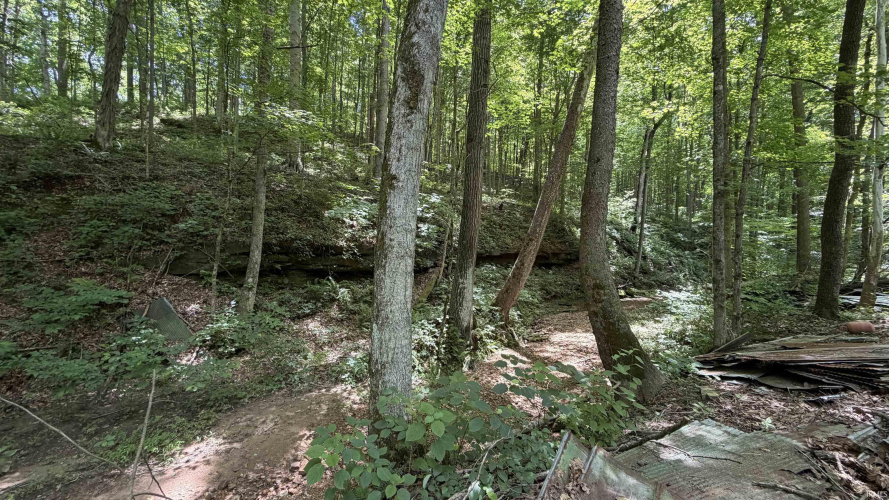 Listing Image 9