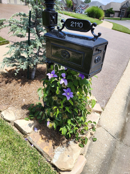 Listing Image 42