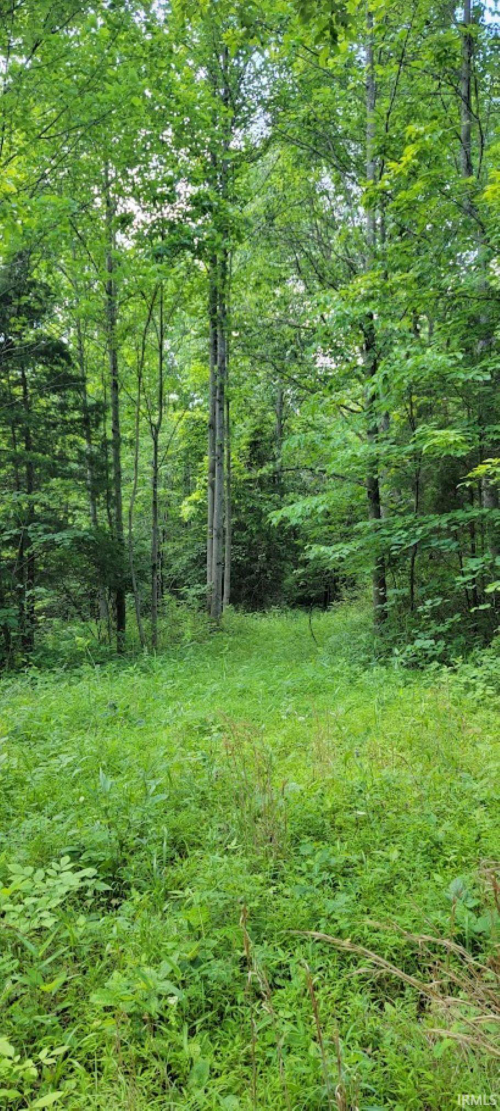 Listing Image 14