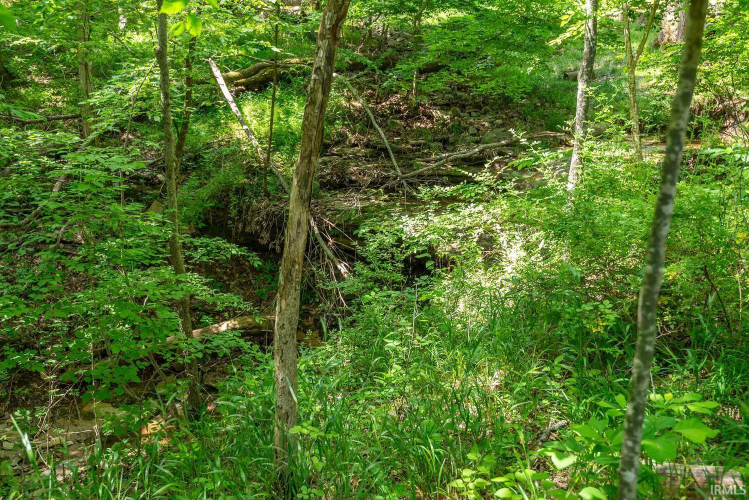 Listing Image 43
