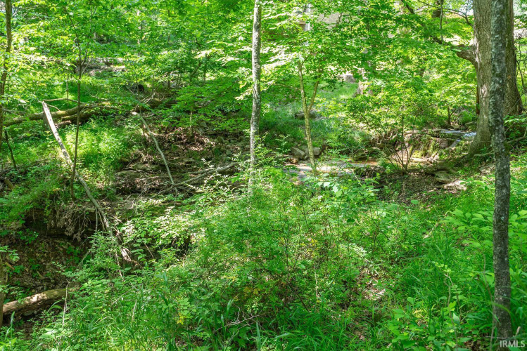 Listing Image 45